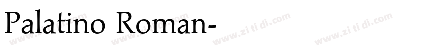 Palatino Roman字体转换